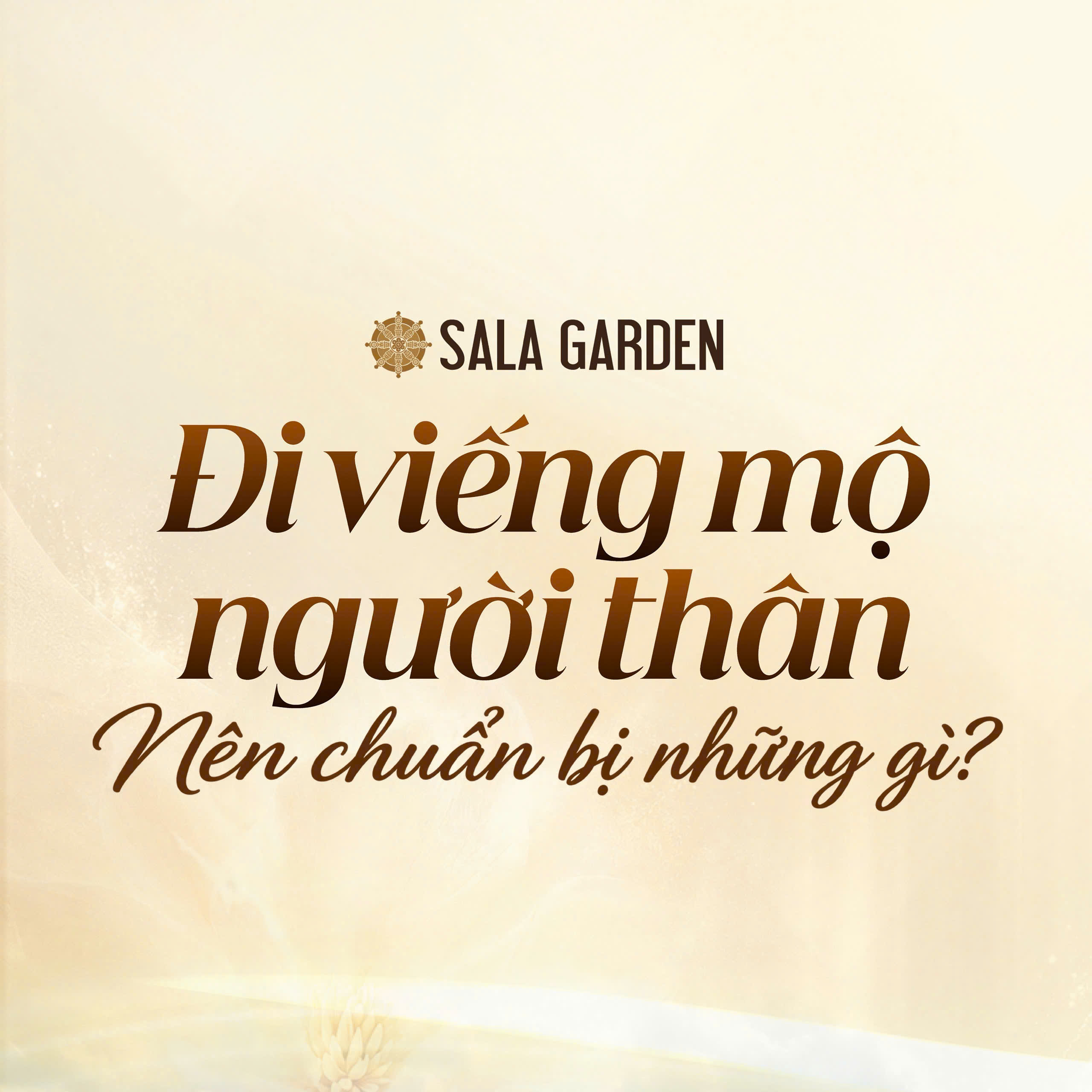 Đi Thăm Mộ Người Thân Nên Chuẩn Bị Những Gì? Cẩm Nang Trọn Vẹn Sự Chỉn Chu Và Thành Kính